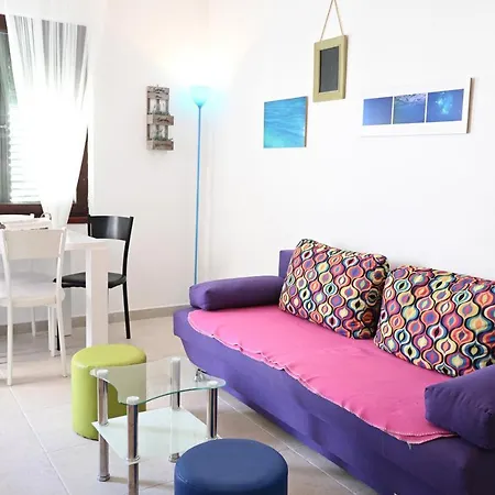 Zebra Apartment